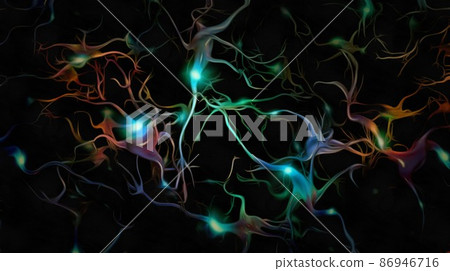 Neurons Neurons 86946716