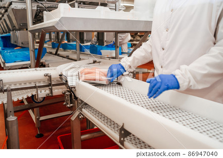 Modern poultry processing plant.Factory for the production of food from meat.Conveyor Belt Food.Automated production line in modern food factory. 86947040