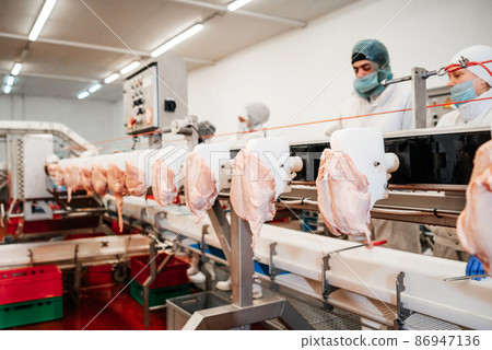 Line for the production of meat with packaging and cutting . Industrial equipment at a meat factory. Meat processing plant. Production line of meat. Line for the production of meat with packaging and cutting . Industrial equipment at a meat factory. Meat processing plant. Production line of meat. 86947136