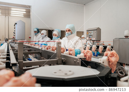 Chicken fillet production line . Factory for the production of food from meat.Modern poultry processing plant.Conveyor Belt Food.The meat factory. Chicken fillet production line . Factory for the production of food from meat.Modern poultry processing plant.Conveyor Belt Food.The meat factory. 86947213