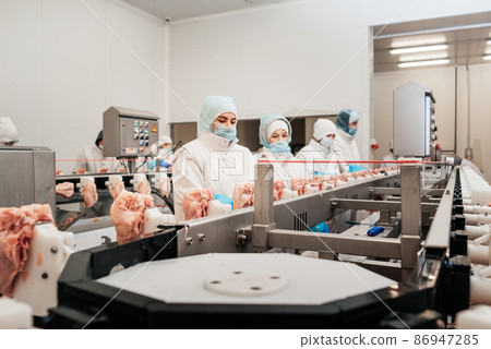 Meat processing plant.Industrial equipment at a meat factory.Modern poultry processing plant.People working at a chicken factory - stock photo.Automated production line in modern food factory. Meat processing plant.Industrial equipment at a meat factory.Modern poultry processing plant.People working at a chicken factory - stock photo.Automated production line in modern food factory. 86947285