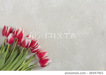 Bouquet of tulips Bouquet of tulips 86947901