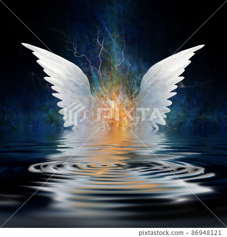Angel wings 86948121