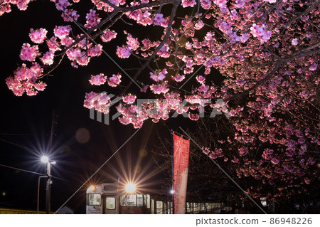 Nichinan Kan No. 1 cherry blossoms that bloom dark pink flowers that sing white-eyes at Kitago Station on the JR Kyushu Local Line, which runs in Kitago Town, Nichinan City, Miyazaki Prefecture. Nichinan Kan No. 1 cherry blossoms that bloom dark pink flowers that sing white-eyes at Kitago Station on the JR Kyushu Local Line, which runs in Kitago Town, Nichinan City, Miyazaki Prefecture. 86948226