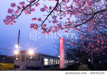 在宮崎縣日南市北鄉町運行的JR九州地方線北鄉站,盛開著深粉色花朵的日南菅一號櫻花綻放著白色的眼睛。 在宮崎縣日南市北鄉町運行的JR九州地方線北鄉站,盛開著深粉色花朵的日南菅一號櫻花綻放著白色的眼睛。 86948230