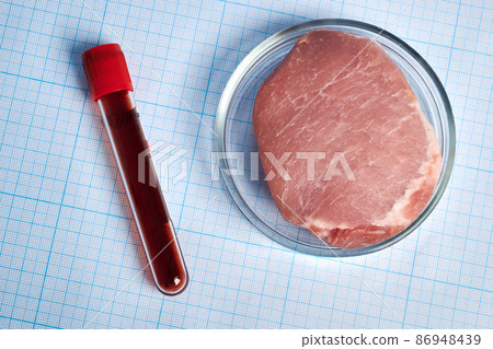 Blood Test-Tube and Meat in Petri Dish - Photo on Graph Paper Blood Test-Tube and Meat in Petri Dish - Photo on Graph Paper 86948439