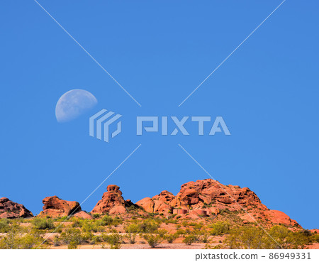 Sonora Desert Moon 86949331
