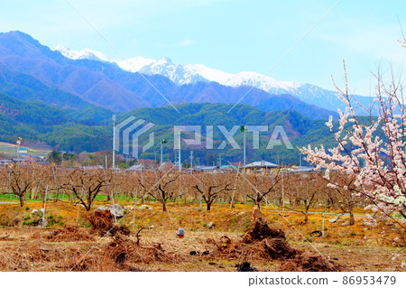 Beautiful flowers, spring Ina flowers, colored paper woven by flowers and plants Beautiful flowers, spring Ina flowers, colored paper woven by flowers and plants 86953479