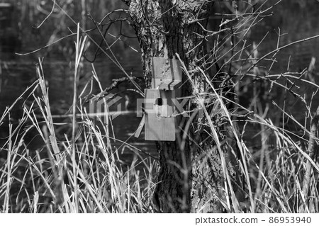 Black and white photo of a Man made bird house on tree in Nebraska country Black and white photo of a Man made bird house on tree in Nebraska country 86953940