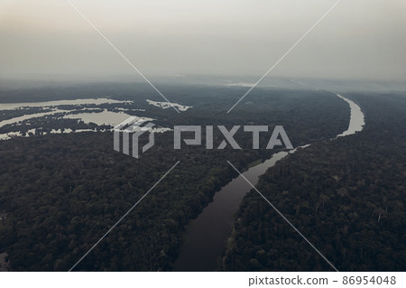Amazon jungle. Amazon jungle. 86954048