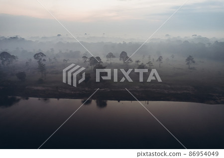 Amazon jungle. 86954049