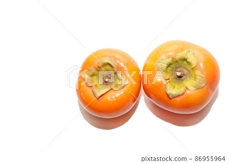 Persimmon oyster oyster autumn taste autumn fruit fruit fruit persimmon photo Persimmon oyster oyster autumn taste autumn fruit fruit fruit persimmon photo 86955964