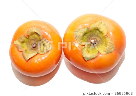 Persimmon oyster oyster autumn taste autumn fruit fruit fruit persimmon photo Persimmon oyster oyster autumn taste autumn fruit fruit fruit persimmon photo 86955968