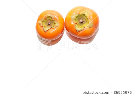 Persimmon oyster oyster autumn taste autumn fruit fruit fruit persimmon photo Persimmon oyster oyster autumn taste autumn fruit fruit fruit persimmon photo 86955976