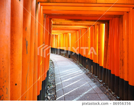 陽光下的鳥居“日式形象”(京都) 陽光下的鳥居“日式形象”(京都) 86956356