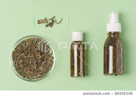 Fermented beauty product with green tea extract, holistic beauty concept, flat lay. Green tea leaves on a medical glass and in a petri dish 86956506