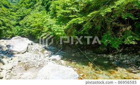 Ojiragawa Canyon (summer) 86956585