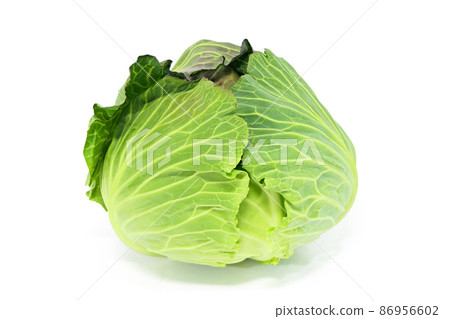 [Cabbage] (depth synthesis) 86956602