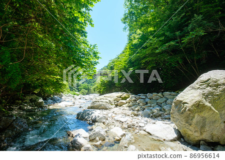 Ojiragawa Canyon (summer) 86956614
