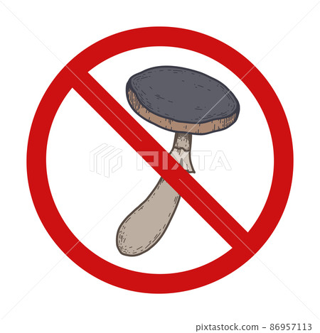 Vector prohibition sign with sketch of colorful toadstool with hatching. Do not pick poisonous mushroom. Danger of being poisoned. Vector prohibition sign with sketch of colorful toadstool with hatching. Do not pick poisonous mushroom. Danger of being poisoned. 86957113