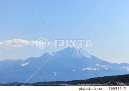 Winter Oyama Winter Oyama 86957345