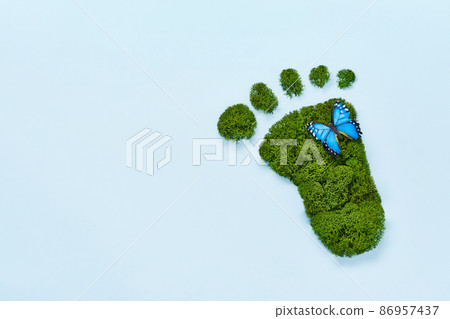 Creative eco, environmental care, earth day concept. Barefoot footprint made of natural green moss and butterfly on blue background 86957437