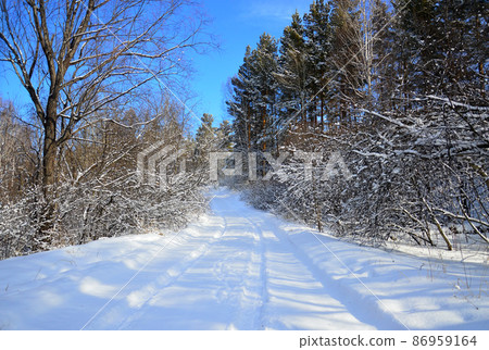 Winter landscape. The snowy road goes up through the forest. Beautiful blue February sky. Wildlife of Eastern Siberia. Winter landscape. The snowy road goes up through the forest. Beautiful blue February sky. Wildlife of Eastern Siberia. 86959164