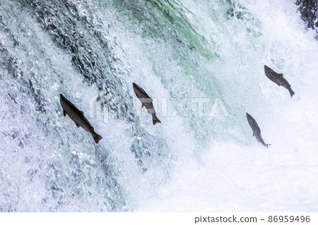 [北海道]清裡町櫻良瀑布攀登7月 86959496