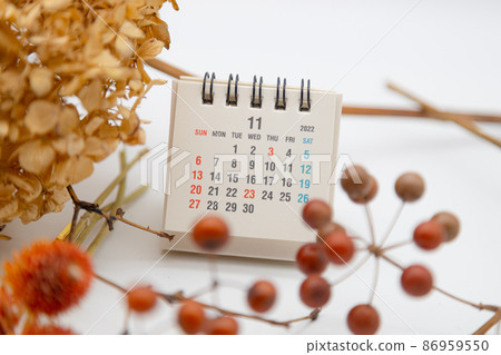 乾花的秋季圖像，2022 年 11 月的台歷 86959550