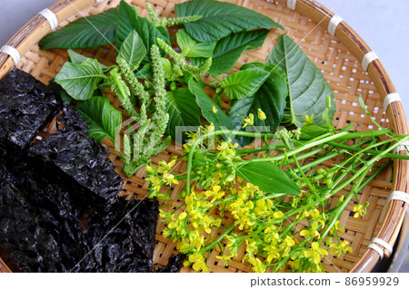 raw material for seaweed with spinach soup bowl on white raw material for seaweed with spinach soup bowl on white 86959929