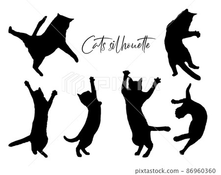 貓的剪影 86960360