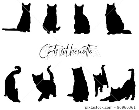 Cat silhouette Cat silhouette 86960361