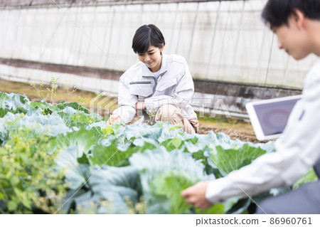 Smart agriculture Smart agriculture 86960761