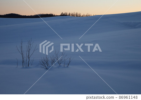 雪原的山丘 86961148