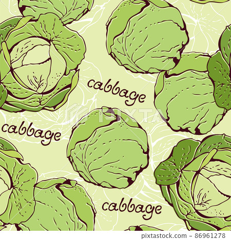 Cabbage seamless vector pattern, hand drawn... - Stock Illustration ...