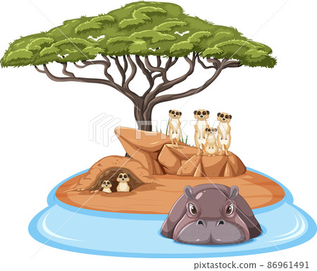 Isolated savanna forest with meerkat and hippopotamus Isolated savanna forest with meerkat and hippopotamus 86961491