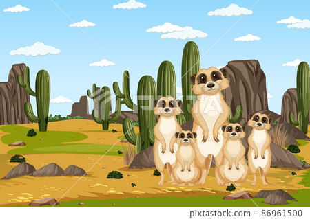 Desert background with a group of meerkats Desert background with a group of meerkats 86961500