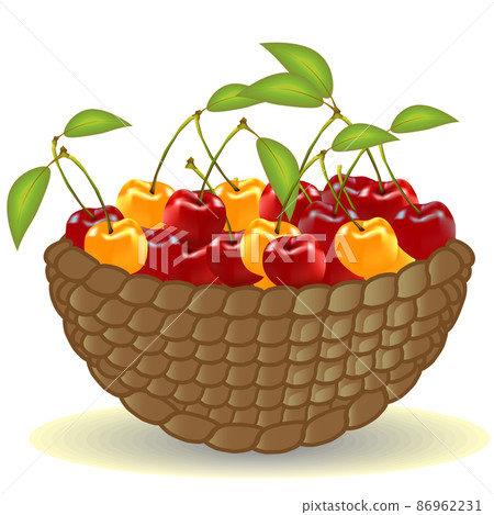 Basket from the vine full of ripe cherries, berries 86962231