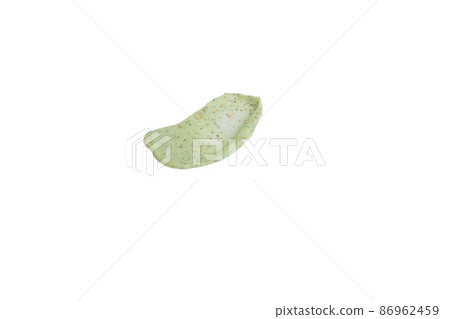 A sample of a natural green scrub on a white background. Peeling cream with microcapsules. Smear of apple or coffee scrub. 86962459