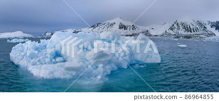 Drift floating Ice, Albert I Land, Norway 86964855