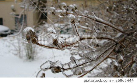 Closeup view to branches of tree after freezing rain, Moscow, Russia Closeup view to branches of tree after freezing rain, Moscow, Russia 86965444