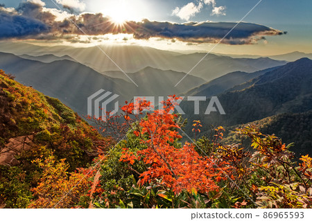Autumn leaves of Mt. Tanigawa and Nishikuro ridge and the mountain range of the morning sun Autumn leaves of Mt. Tanigawa and Nishikuro ridge and the mountain range of the morning sun 86965593
