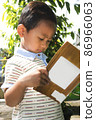 little boy reading a book in the sun 86966063