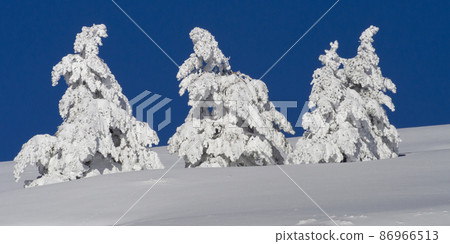 Snowy Landscape, Sierra de Guadarrama National Park, Spain Snowy Landscape, Sierra de Guadarrama National Park, Spain 86966513