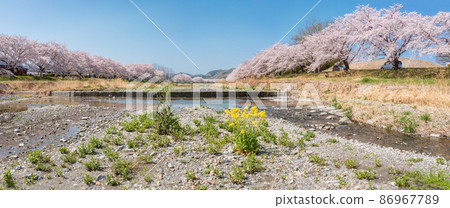 Aerial view "Saitama Prefecture" Kodama Senbonzakura 86967789