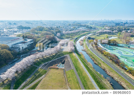 鳥瞰“ Sa玉縣”美麗沼田中美麗的櫻花走廊 86968603