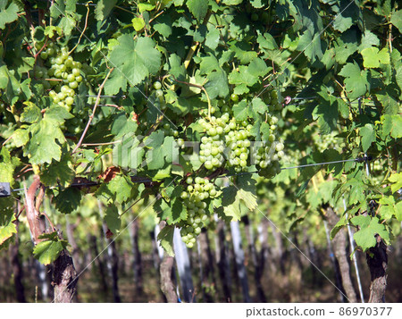 Freiburg cityscape in southern Germany Freiburg cityscape in southern Germany 86970377