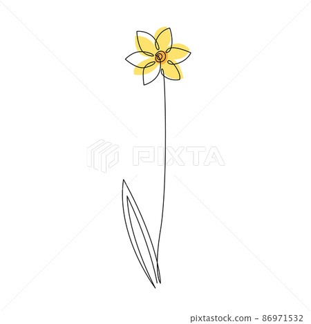 Daffodil flower in continuous line drawing style. Black line sketch on white background. Vector illustration 86971532