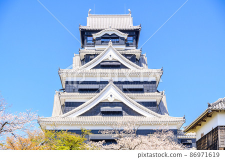 櫻花季：熊本城內的櫻花和天守閣 熊本城 86971619