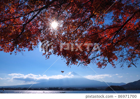 Mt. Fuji and autumn leaves in late autumn Mt. Fuji and autumn leaves in late autumn 86971700